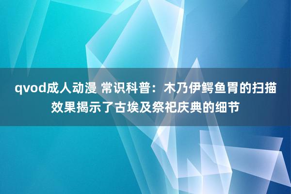 qvod成人动漫 常识科普：木乃伊鳄鱼胃的扫描效果揭示了古埃及祭祀庆典的细节