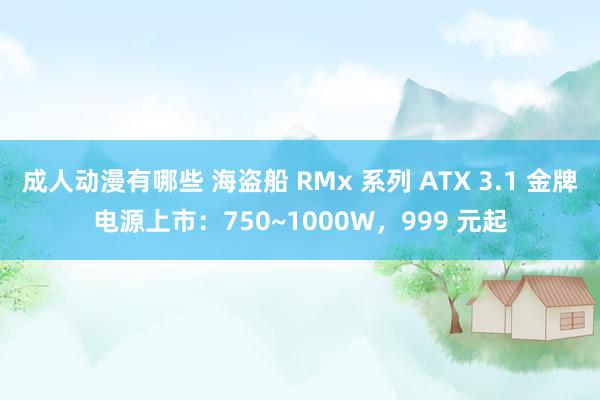 成人动漫有哪些 海盗船 RMx 系列 ATX 3.1 金牌电源上市：750~1000W，999 元起