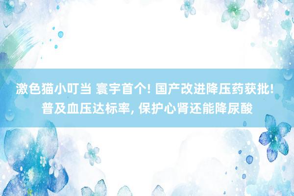 激色猫小叮当 寰宇首个! 国产改进降压药获批! 普及血压达标率, 保护心肾还能降尿酸