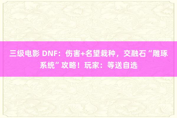 三级电影 DNF：伤害+名望栽种，交融石“雕琢系统”攻略！玩家：等送自选