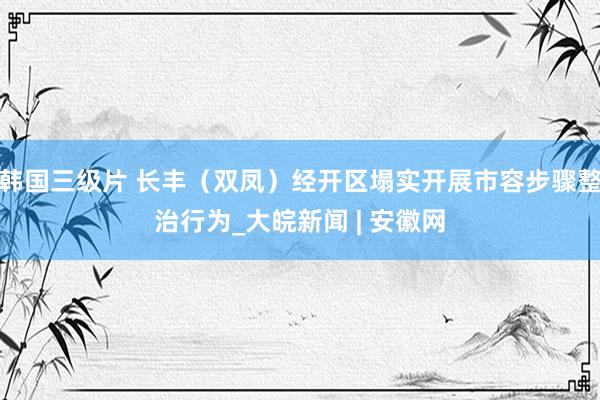 韩国三级片 长丰（双凤）经开区塌实开展市容步骤整治行为_大皖新闻 | 安徽网