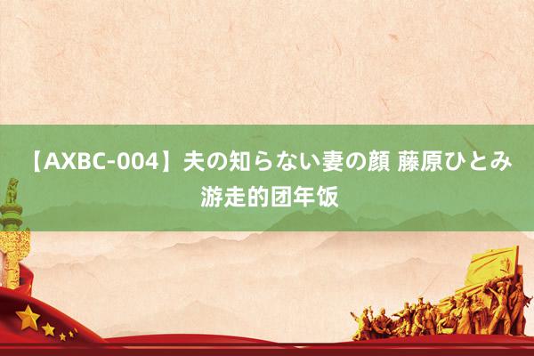 【AXBC-004】夫の知らない妻の顔 藤原ひとみ 游走的团年饭