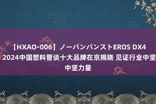 【HXAO-006】ノーパンパンストEROS DX4時間 2024中国塑料管谈十大品牌在京揭晓 见证行业中坚力量