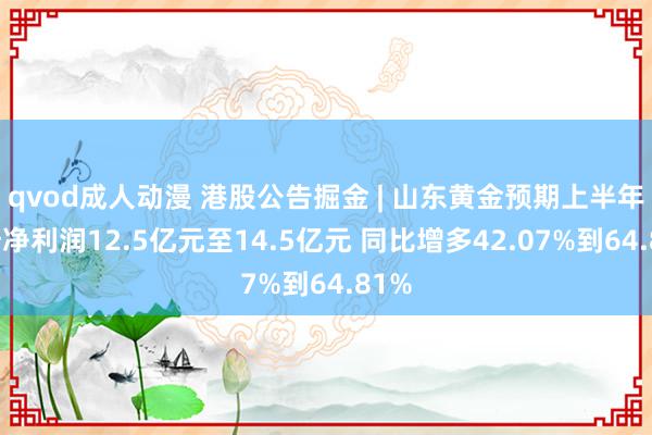 qvod成人动漫 港股公告掘金 | 山东黄金预期上半年归母净利润12.5亿元至14.5亿元 同比增多42.07%到64.81%