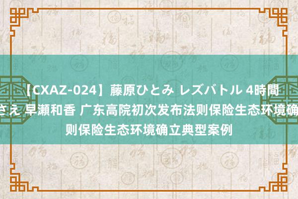 【CXAZ-024】藤原ひとみ レズバトル 4時間 feat.愛原さえ 早瀬和香 广东高院初次发布法则保险生态环境确立典型案例