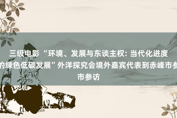 三级电影 “环境、发展与东谈主权: 当代化进度中的绿色低碳发展”外洋探究会境外嘉宾代表到赤峰市参访