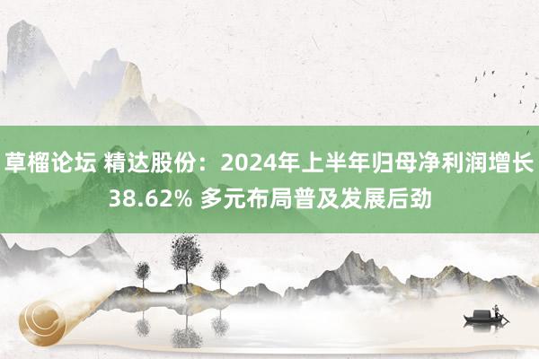 草榴论坛 精达股份：2024年上半年归母净利润增长38.62% 多元布局普及发展后劲