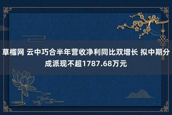 草榴网 云中巧合半年营收净利同比双增长 拟中期分成派现不超1787.68万元