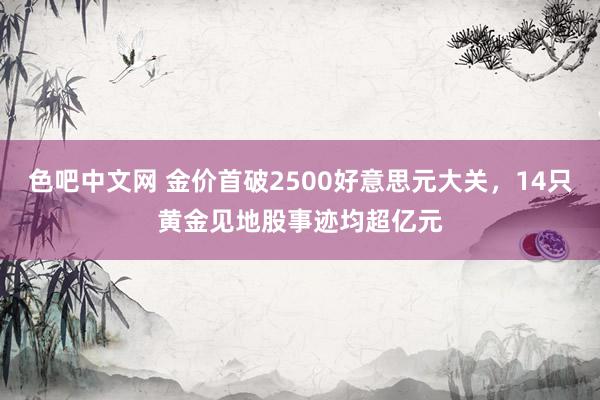 色吧中文网 金价首破2500好意思元大关，14只黄金见地股事迹均超亿元