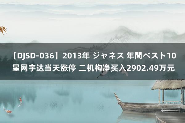 【DJSD-036】2013年 ジャネス 年間ベスト10 星网宇达当天涨停 二机构净买入2902.49万元