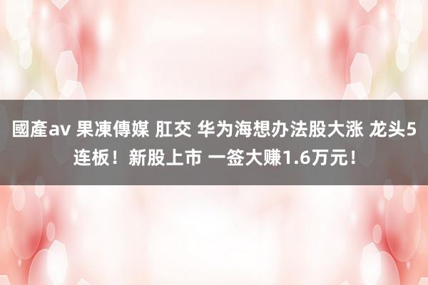 國產av 果凍傳媒 肛交 华为海想办法股大涨 龙头5连板！新股上市 一签大赚1.6万元！