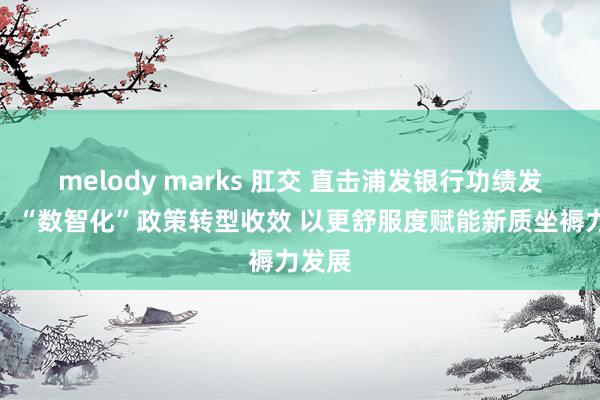 melody marks 肛交 直击浦发银行功绩发布会！“数智化”政策转型收效 以更舒服度赋能新质坐褥力发展