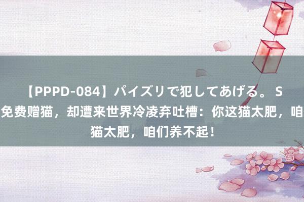 【PPPD-084】パイズリで犯してあげる。 SARA 网友免费赠猫，却遭来世界冷凌弃吐槽：你这猫太肥，咱们养不起！