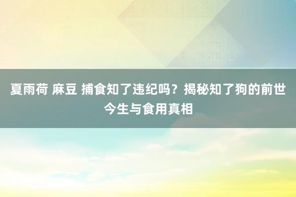 夏雨荷 麻豆 捕食知了违纪吗？揭秘知了狗的前世今生与食用真相