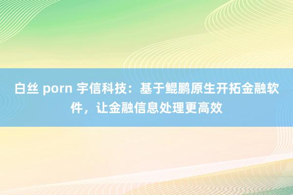 白丝 porn 宇信科技：基于鲲鹏原生开拓金融软件，让金融信息处理更高效