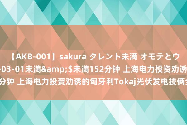 【AKB-001】sakura タレント未満 オモテとウラ</a>2009-03-01未満&$未満152分钟 上海电力投资劝诱的匈牙利Tokaj光伏发电技俩全容量并网